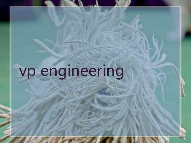 vp engineering