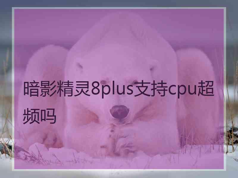 暗影精灵8plus支持cpu超频吗