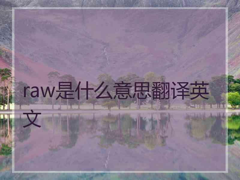 raw是什么意思翻译英文