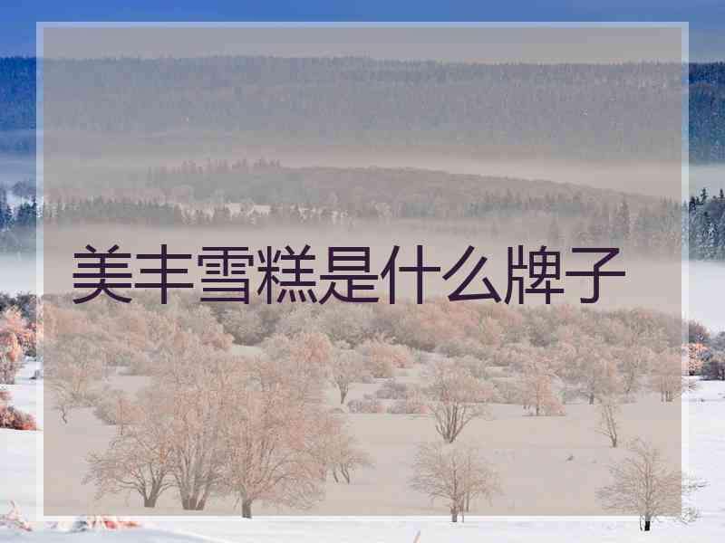 美丰雪糕是什么牌子