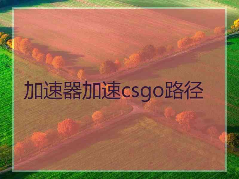 加速器加速csgo路径