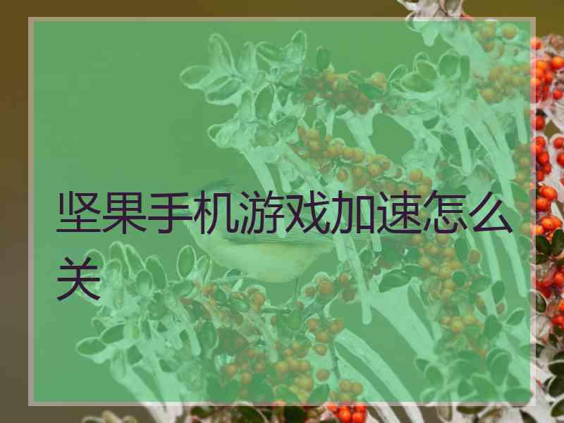 坚果手机游戏加速怎么关