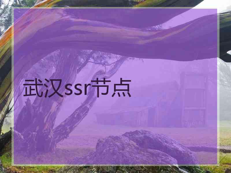 武汉ssr节点