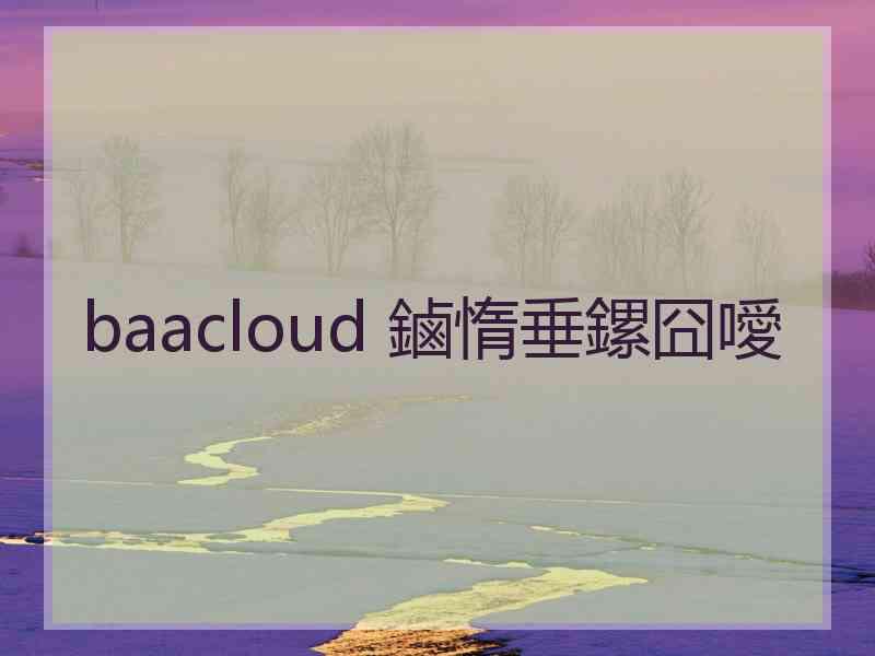 baacloud 鏀惰垂鏍囧噯