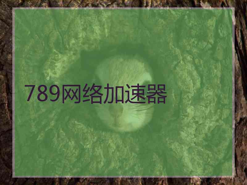 789网络加速器