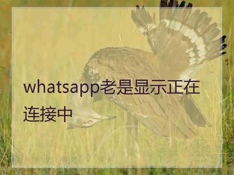 whatsapp老是显示正在连接中