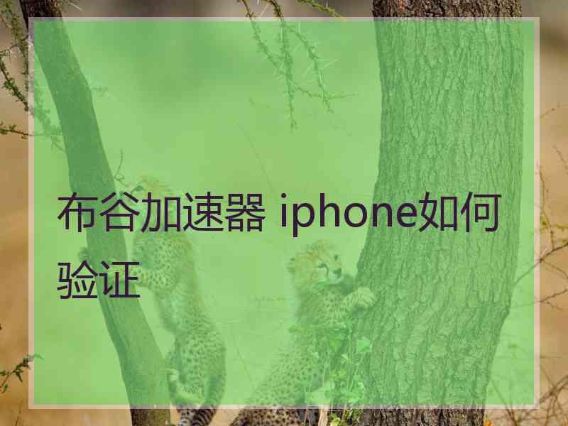 布谷加速器 iphone如何验证