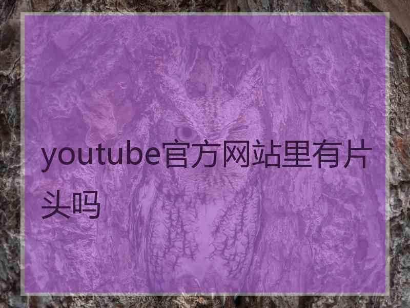 youtube官方网站里有片头吗