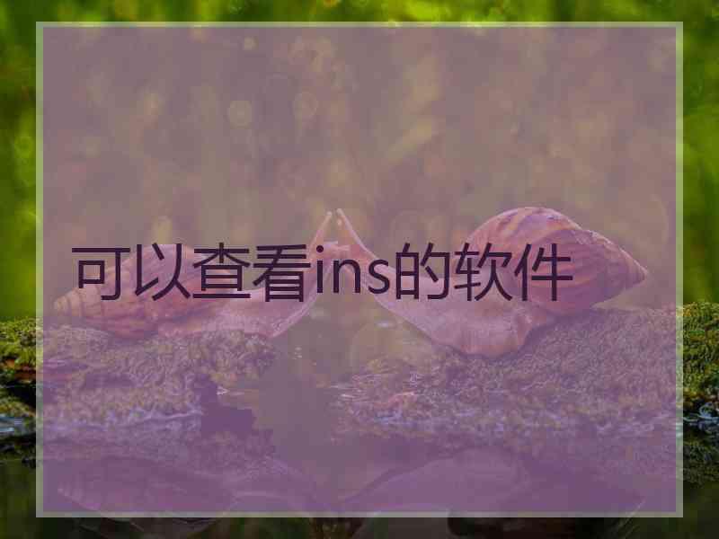 可以查看ins的软件