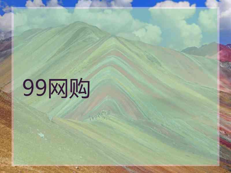 99网购