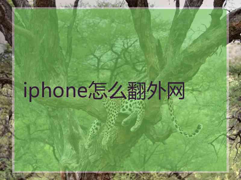 iphone怎么翻外网