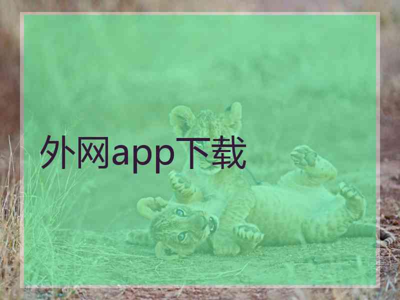 外网app下载