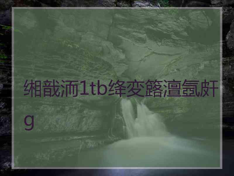 缃戠洏1tb绛変簬澶氬皯g