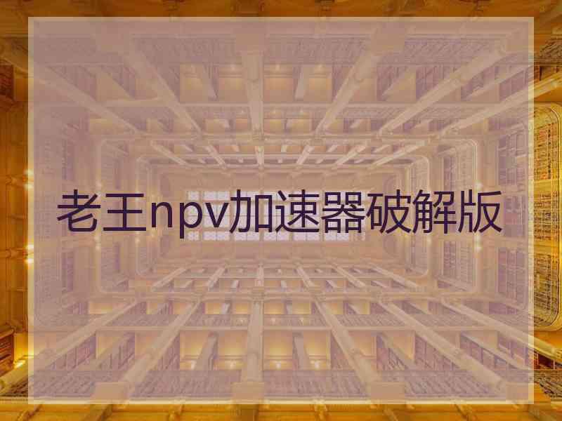 老王npv加速器破解版