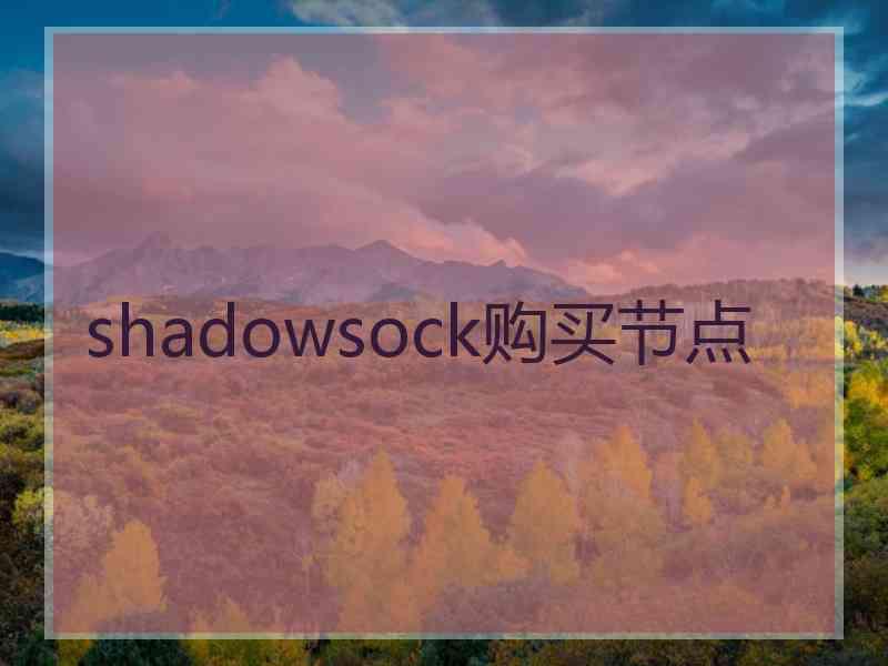 shadowsock购买节点