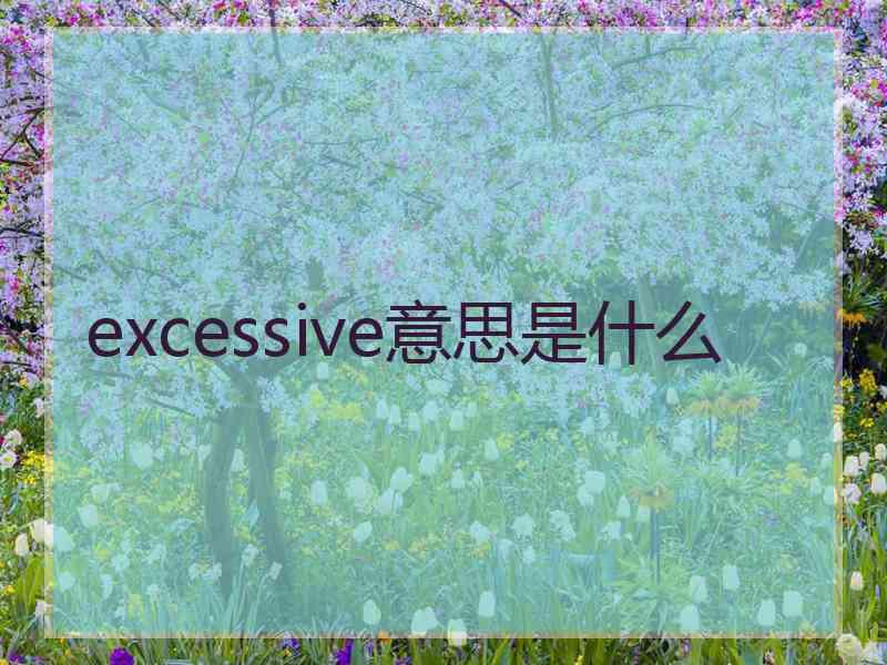 excessive意思是什么