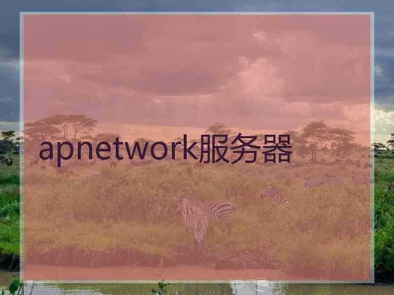 apnetwork服务器