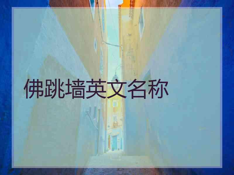 佛跳墙英文名称