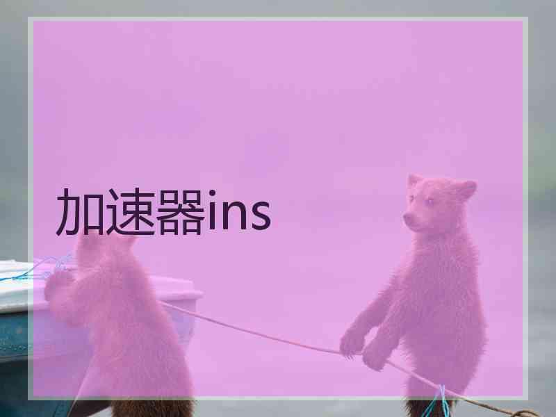 加速器ins