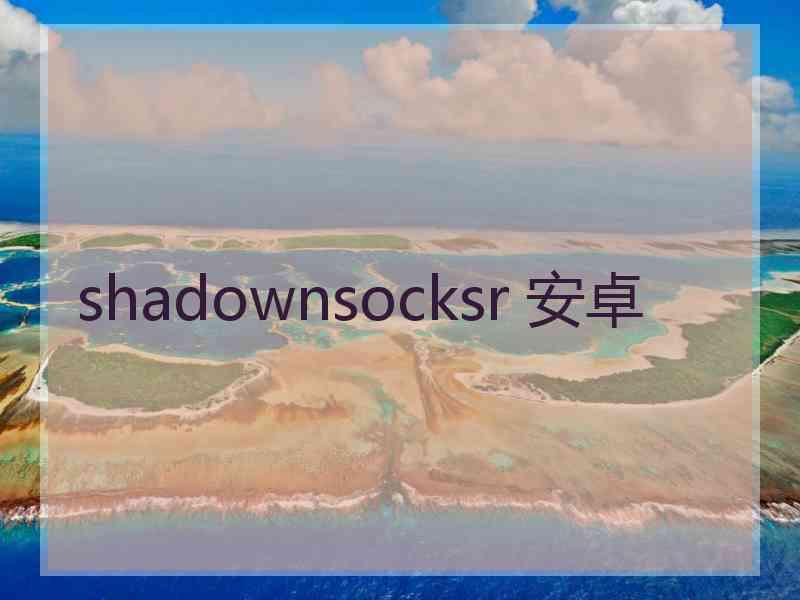 shadownsocksr 安卓