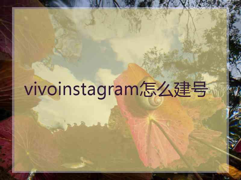 vivoinstagram怎么建号