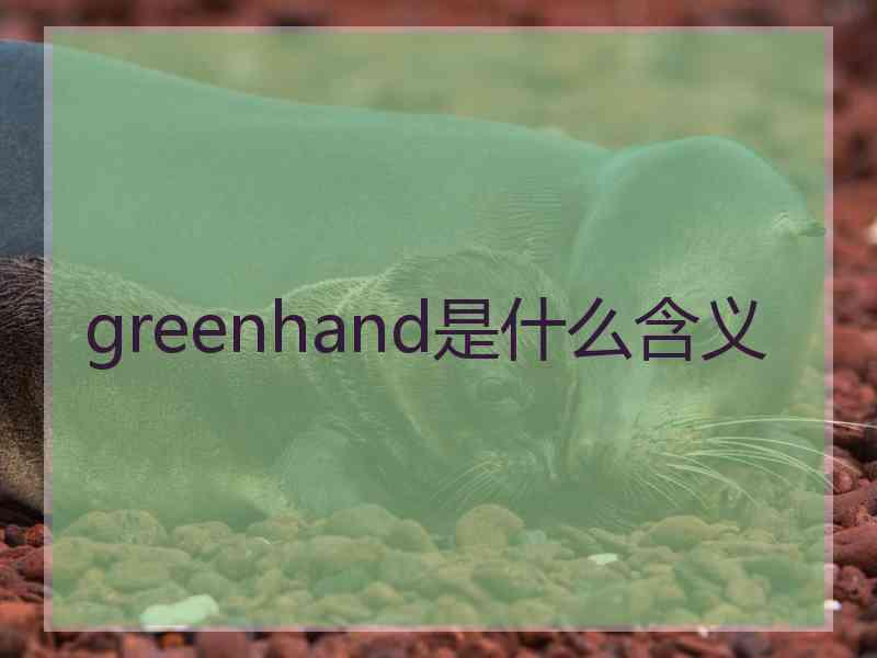 greenhand是什么含义