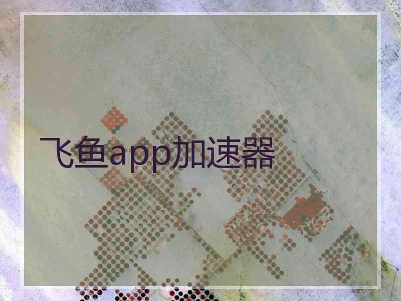 飞鱼app加速器