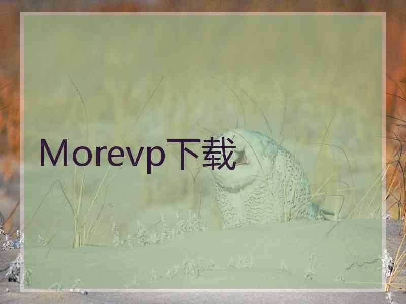 Morevp下载