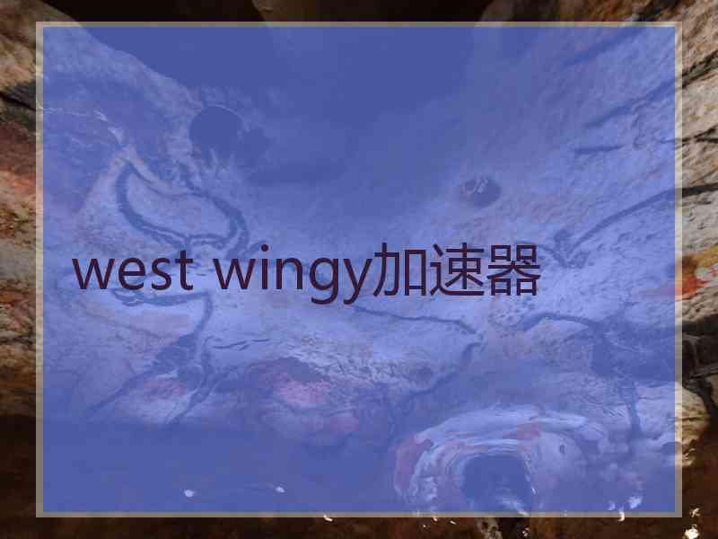 west wingy加速器