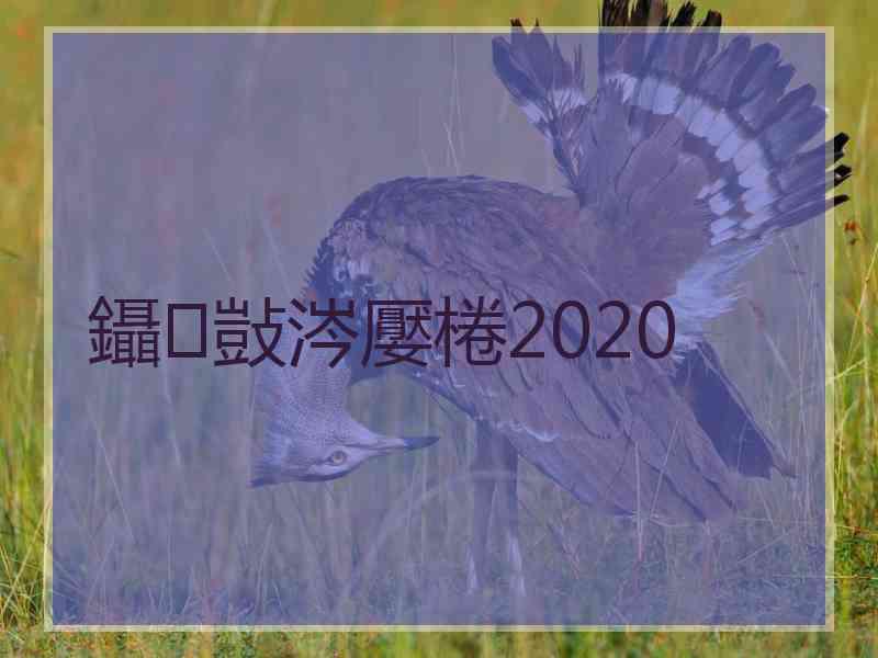 鑷敱涔嬮棬2020