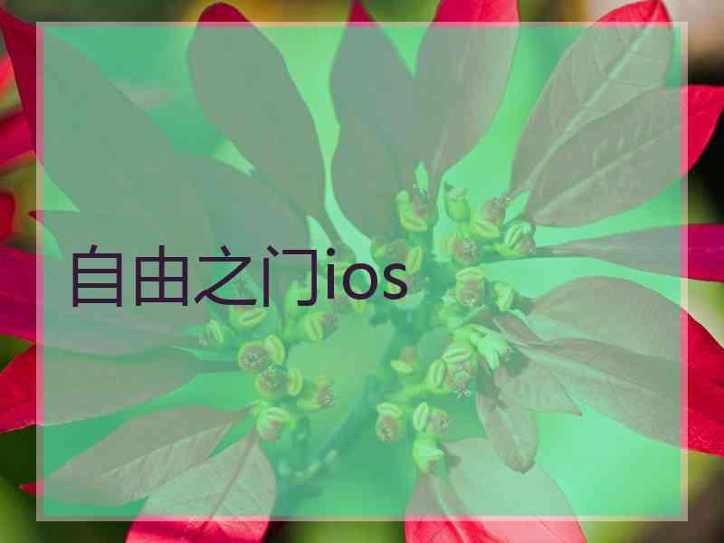 自由之门ios