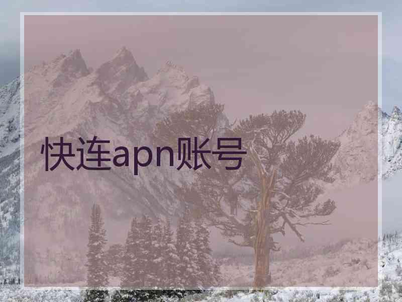 快连apn账号