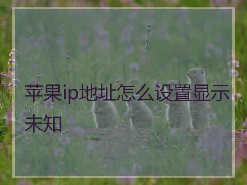 苹果ip地址怎么设置显示未知