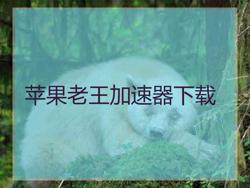 苹果老王加速器下载