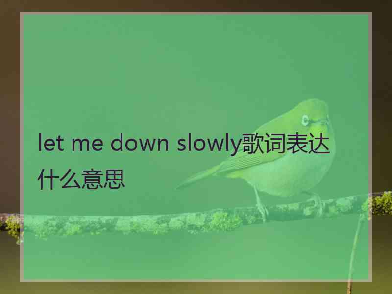 let me down slowly歌词表达什么意思