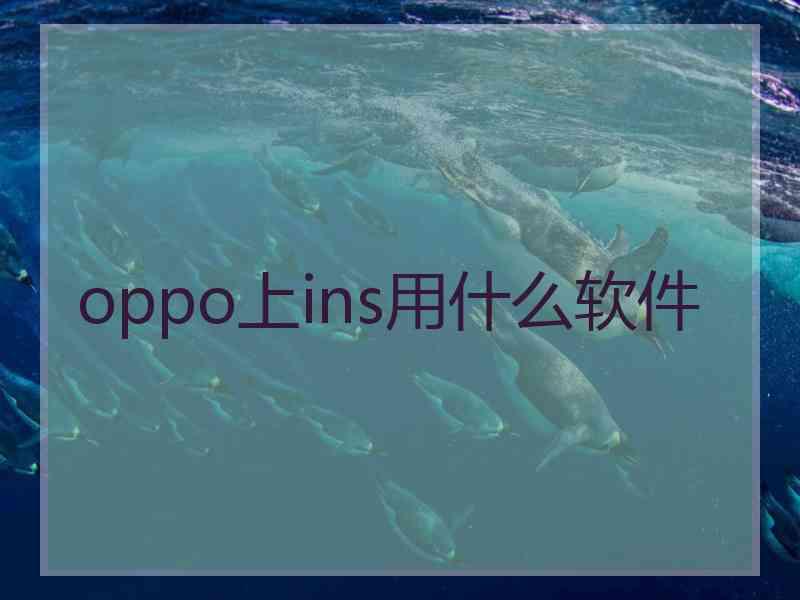 oppo上ins用什么软件