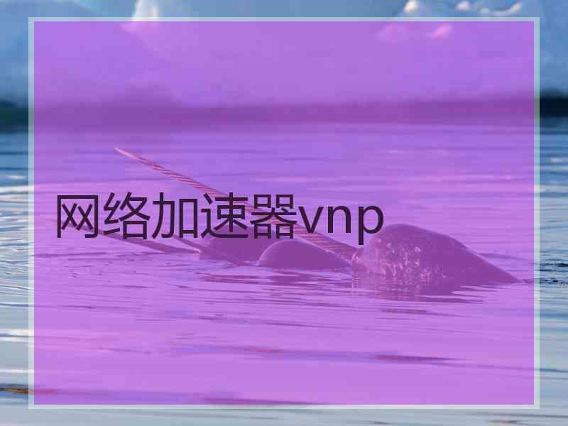 网络加速器vnp