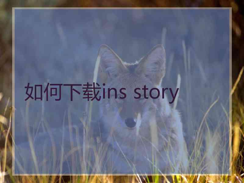 如何下载ins story