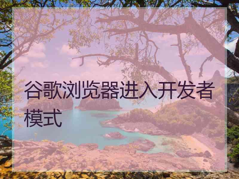 谷歌浏览器进入开发者模式