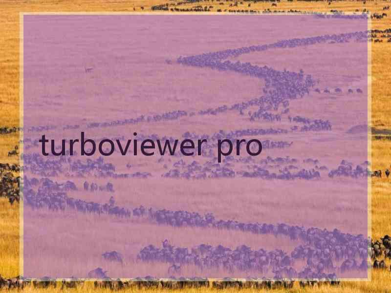 turboviewer pro