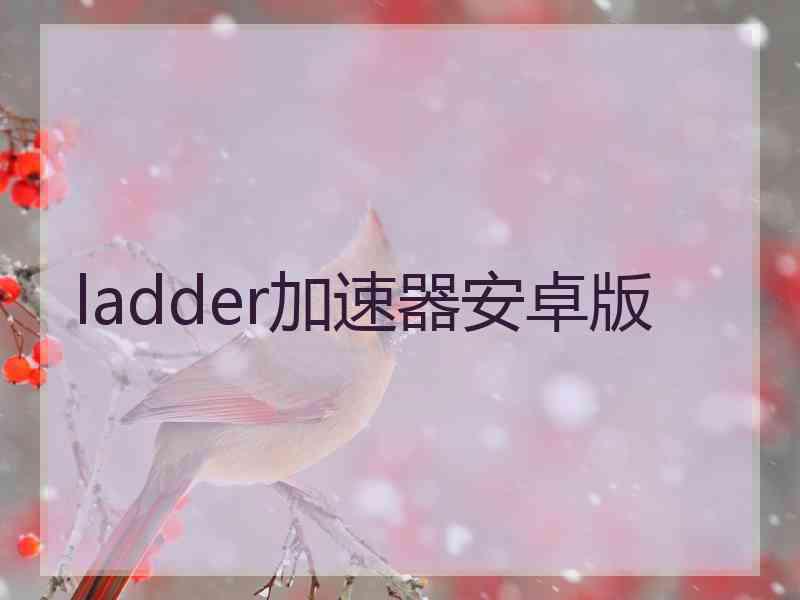 ladder加速器安卓版