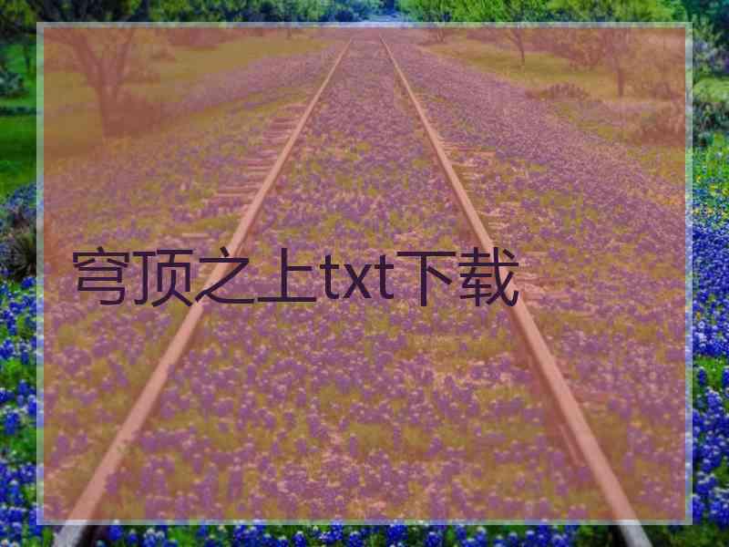 穹顶之上txt下载