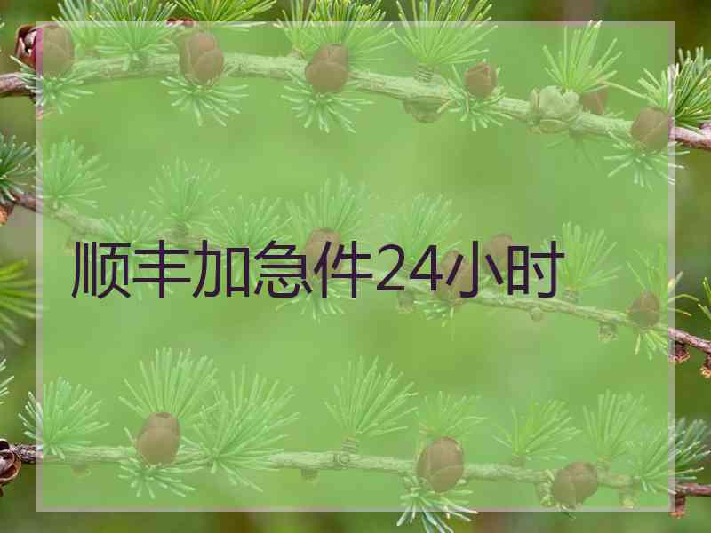 顺丰加急件24小时