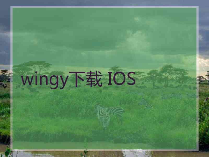 wingy下载 IOS