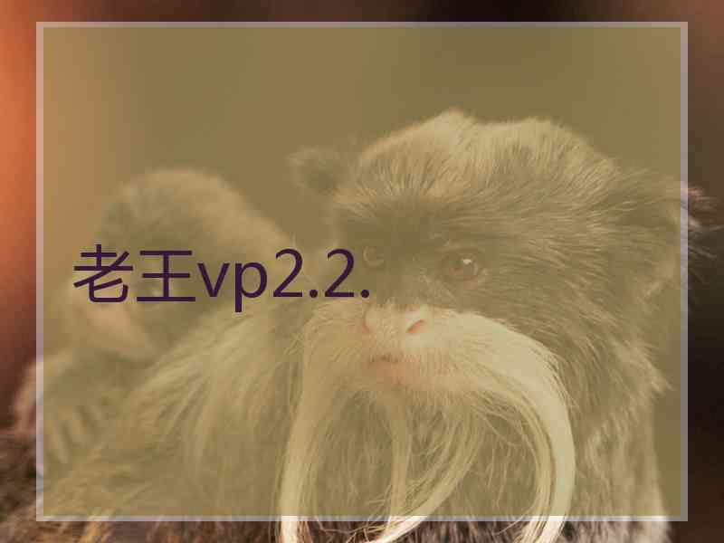 老王vp2.2.