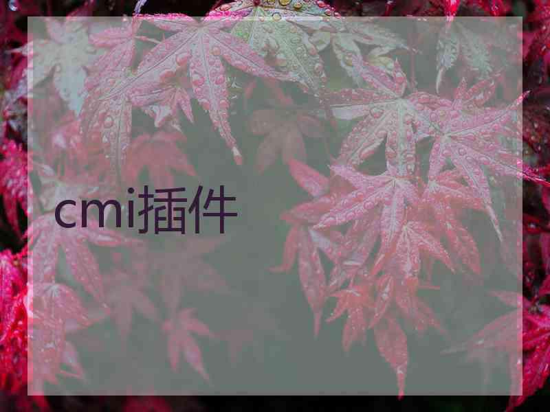 cmi插件