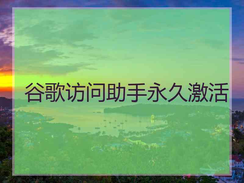 谷歌访问助手永久激活