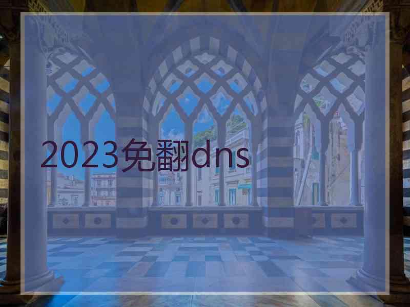 2023免翻dns