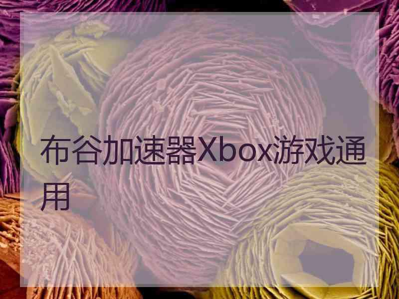 布谷加速器Xbox游戏通用