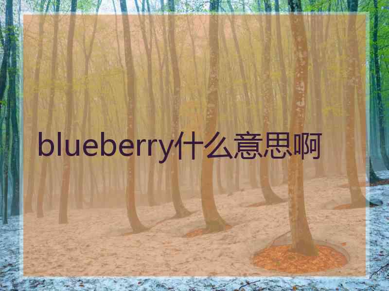 blueberry什么意思啊